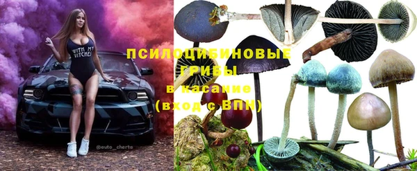 соль курить ск Медвежьегорск