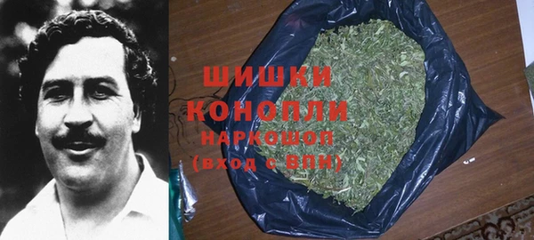 бутират Мегион